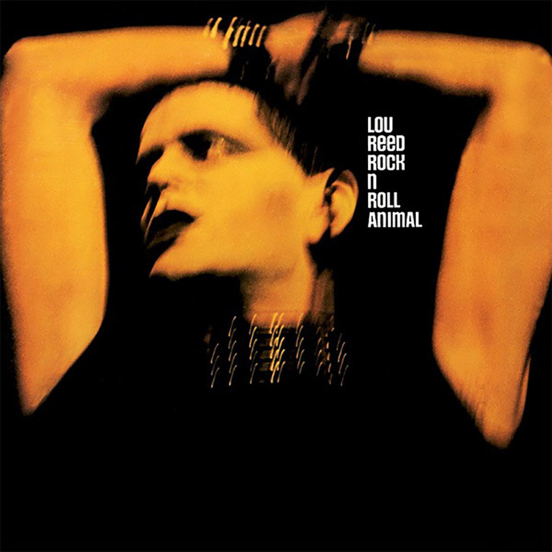 Rock 'n' Roll Animal: Vinyl LP