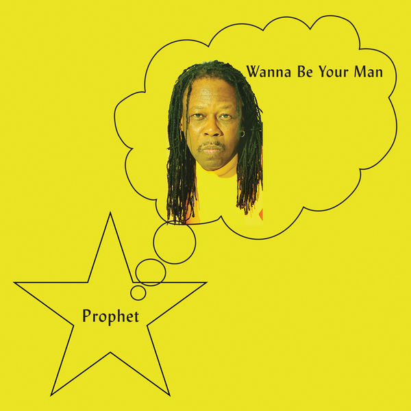 Wanna Be Your Man: Vinyl LP