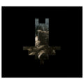 I Loved You At Your Darkest: CD