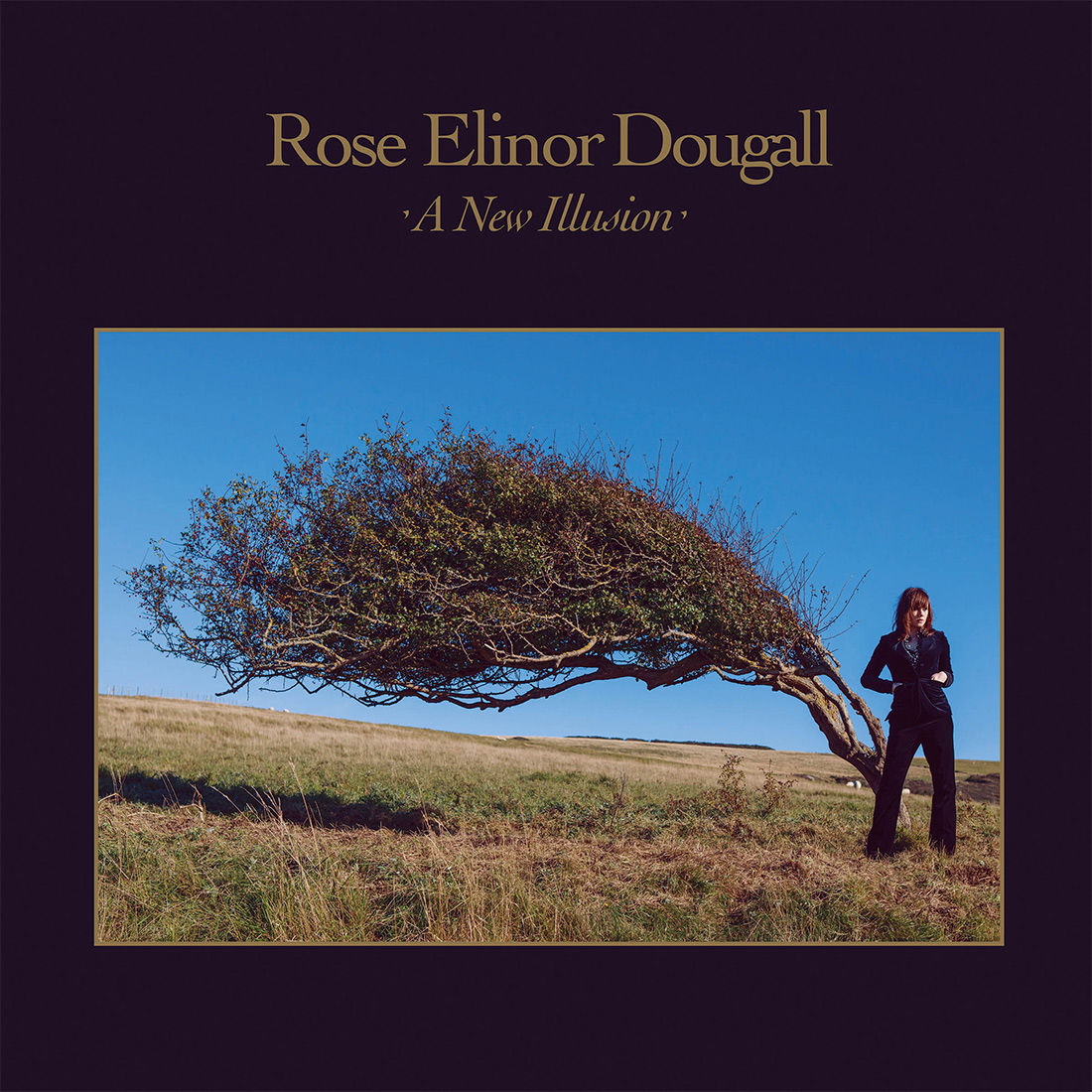 A New Illusion: Limited Signed CD