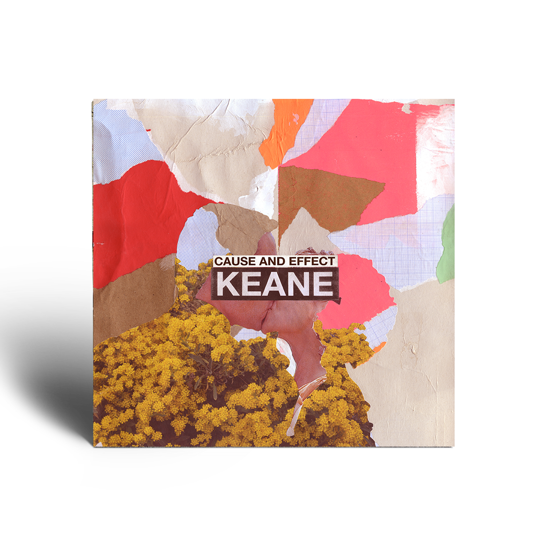 Cause and Effect: Deluxe CD