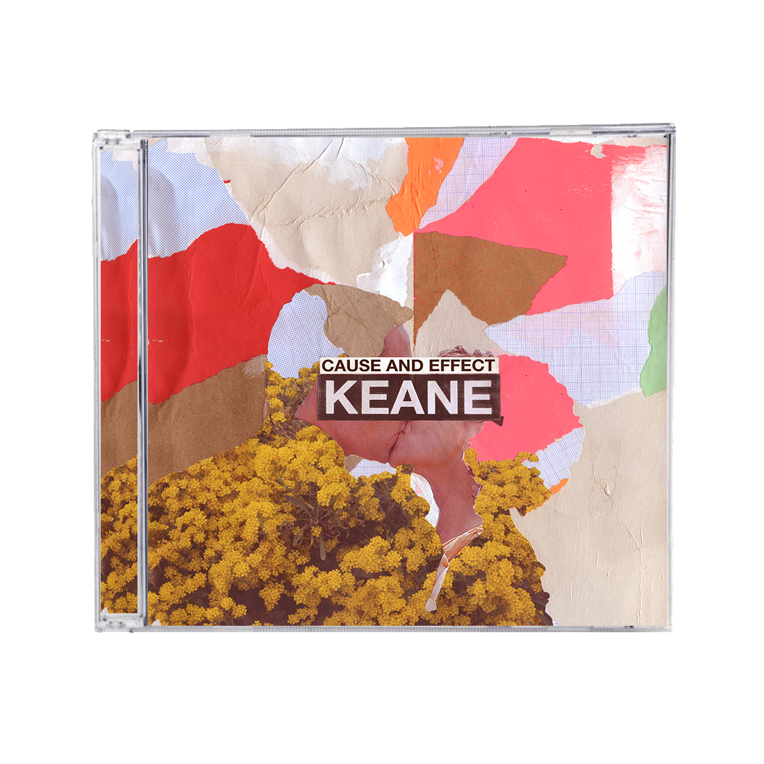 Cause and Effect: Standard CD