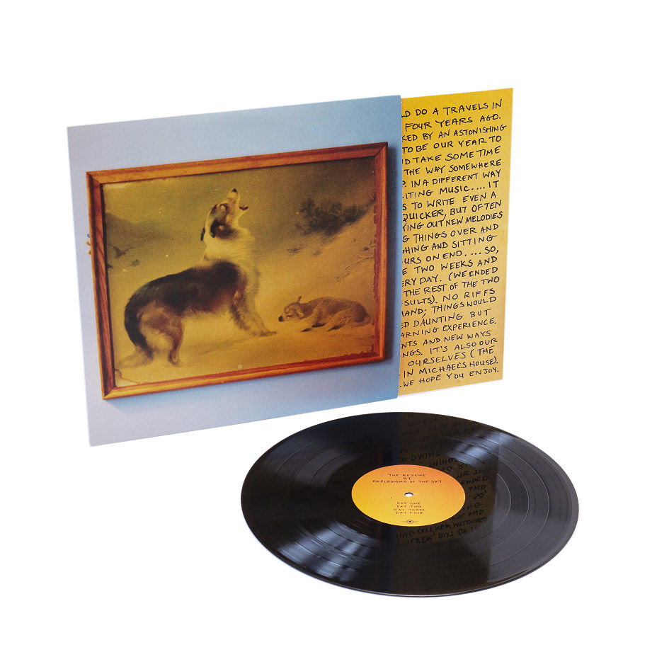The Rescue (Anniversary Edition): Vinyl LP