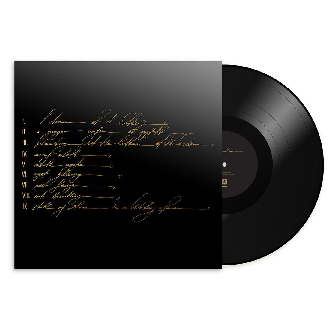 Dreams Are Not Enough: Vinyl LP
