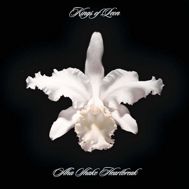 The Collection Box: Limited 5CD + DVD Box Set