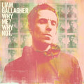 Why Me? Why Not: Vinyl LP