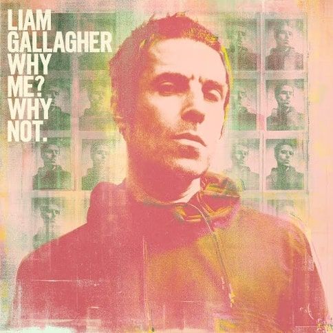 Why Me? Why Not: Vinyl LP