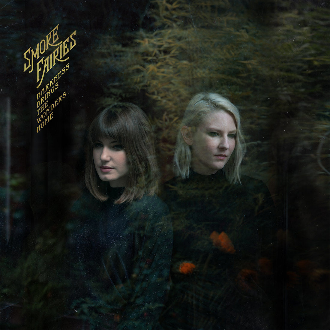 Darkness Brings The Wonders Home: CD