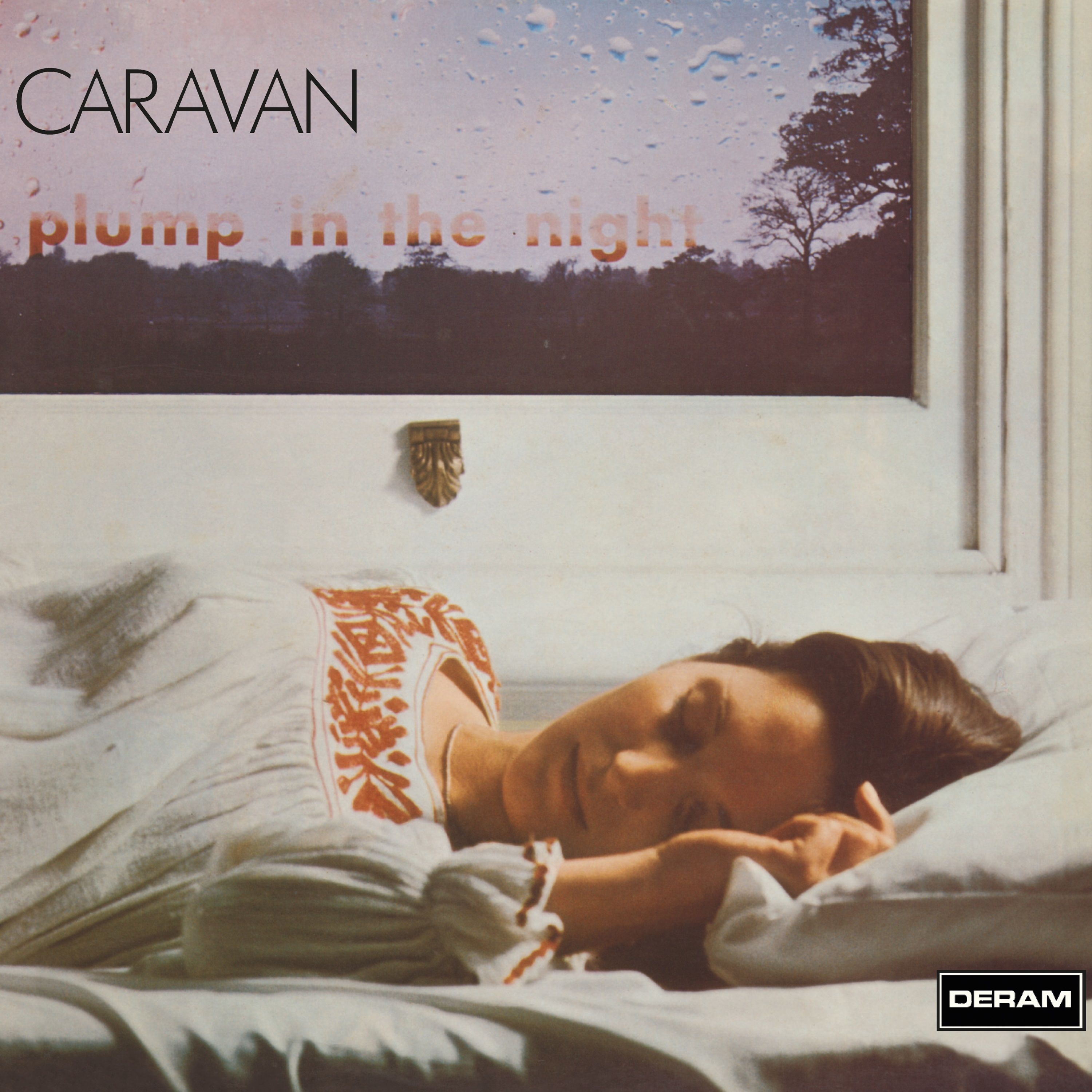 For Girls Who Grow Plump In The Night: Vinyl LP