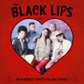 Sing In A World That’s Falling Apart: Vinyl LP