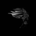 Dark Matter: CD
