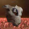 TORSO: CD