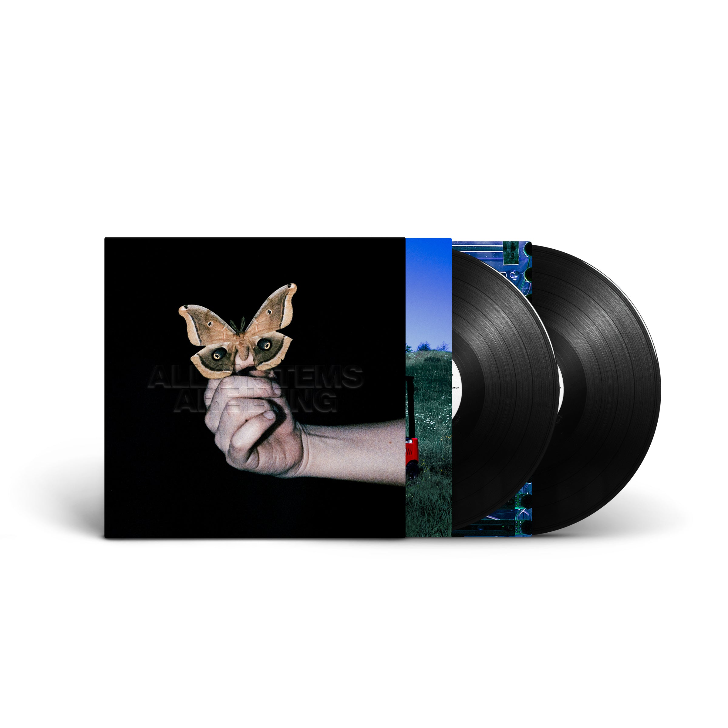 All Systems Are Lying: Vinyl 2LP