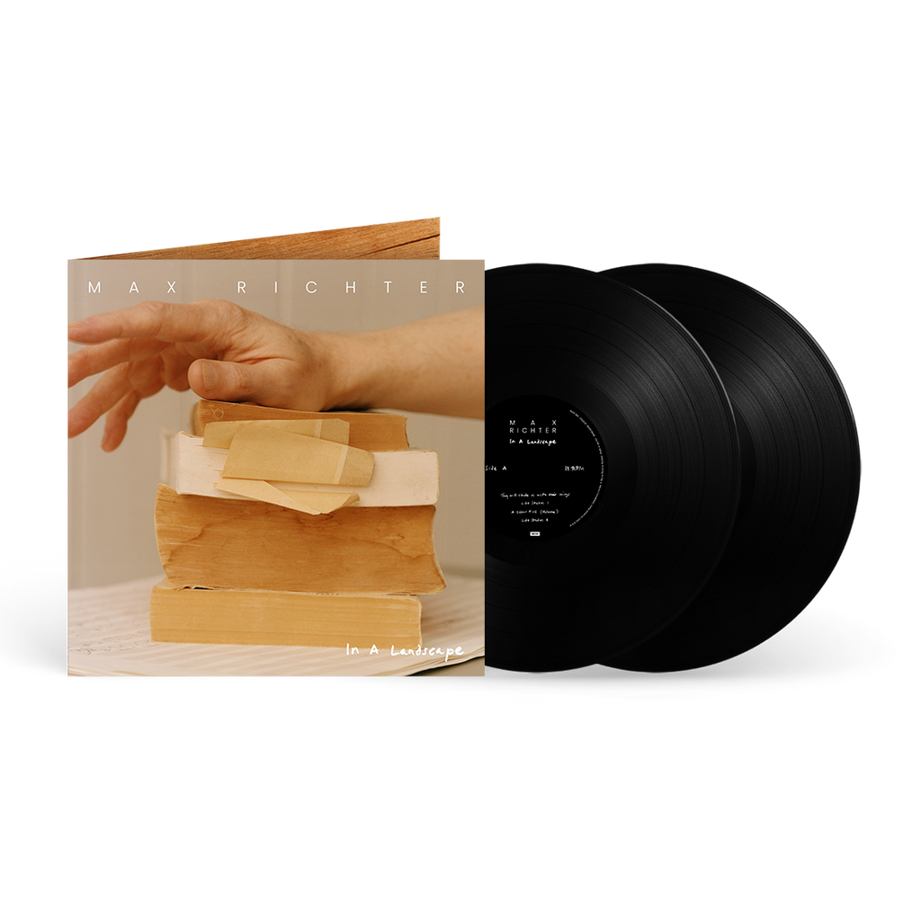 In A Landscape 2LP