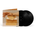 In A Landscape 2LP