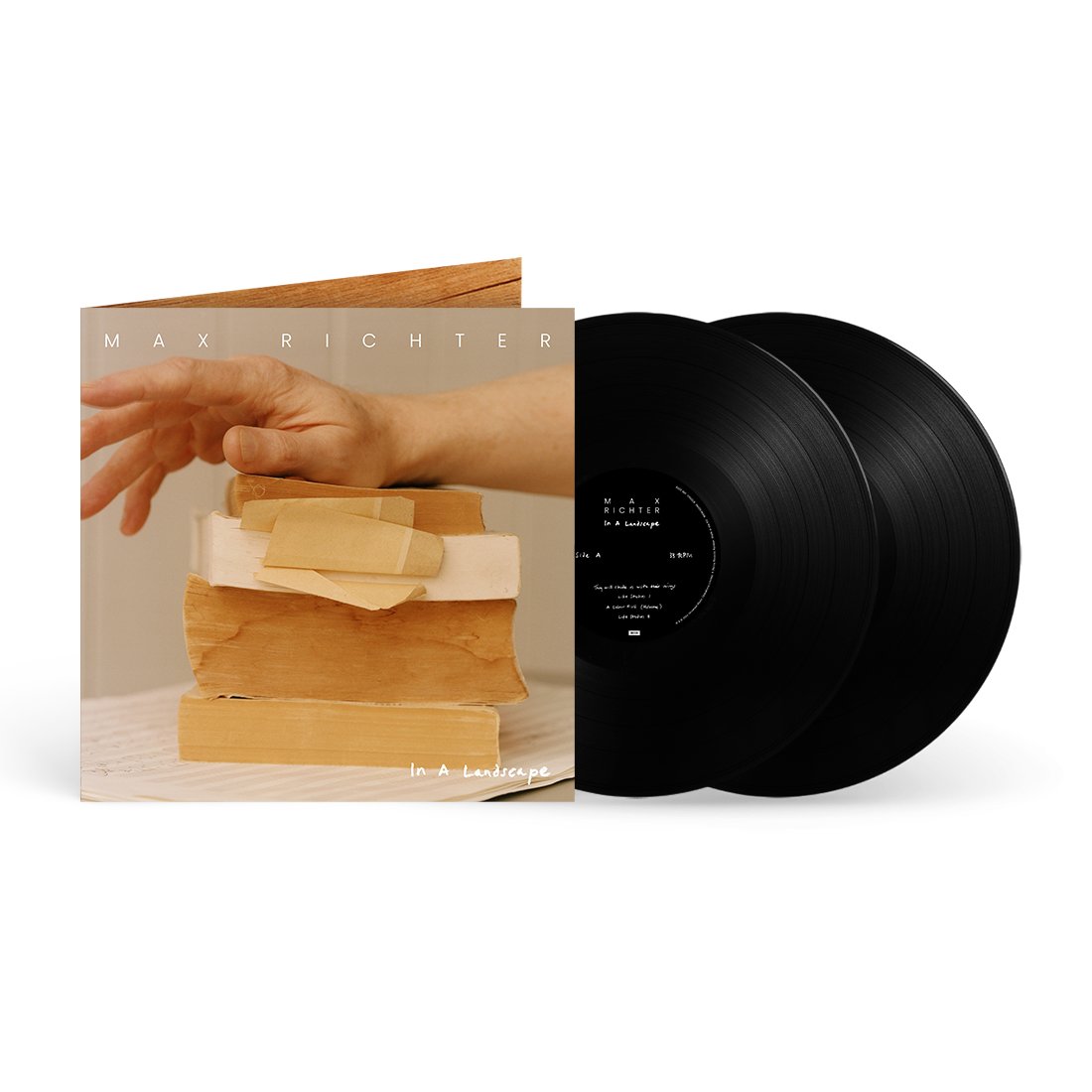 In A Landscape 2LP