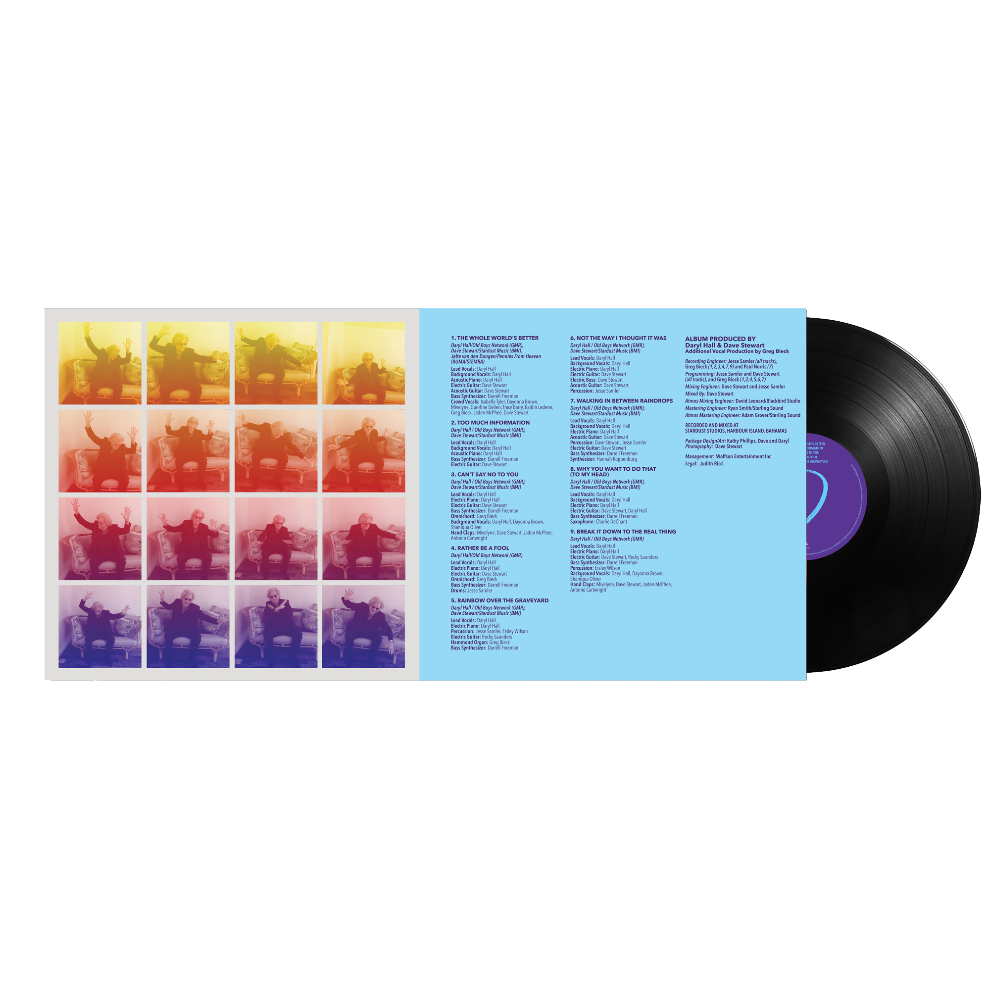 D: Vinyl LP