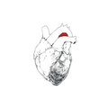 The Beggar: 2CD
