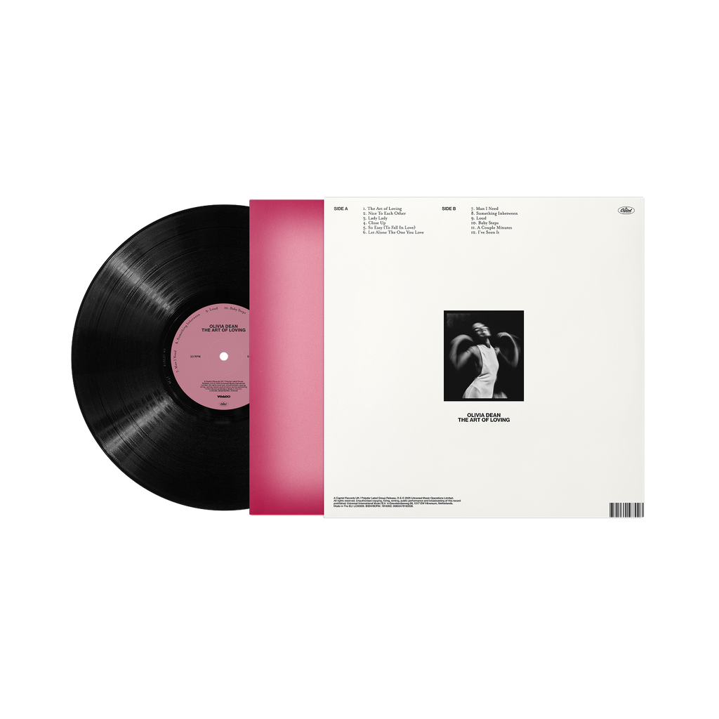The Art of Loving Vinyl