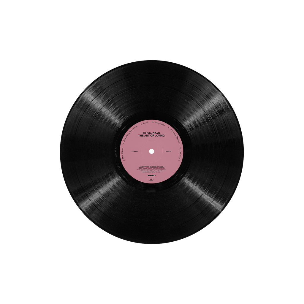 The Art of Loving Vinyl