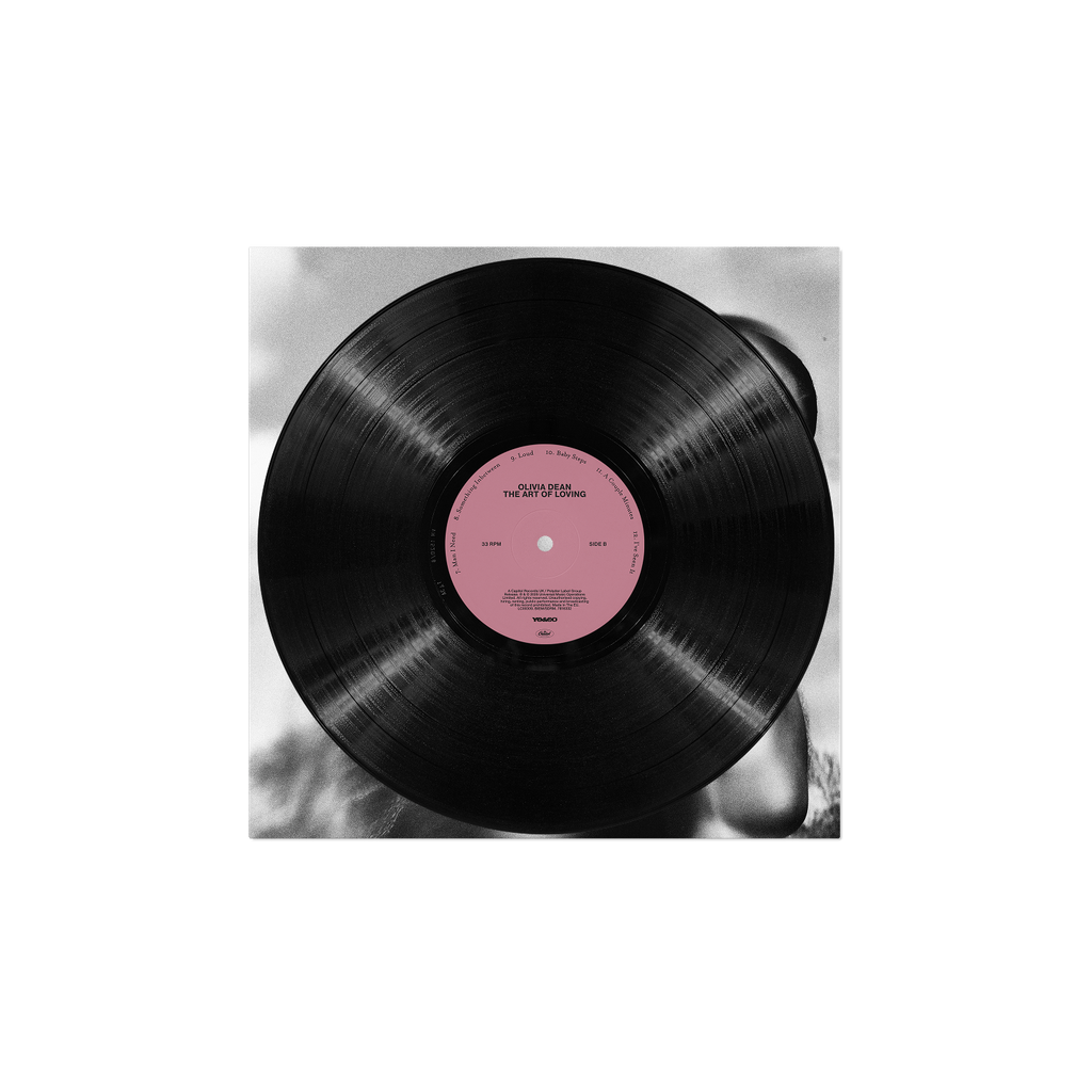 The Art of Loving Vinyl