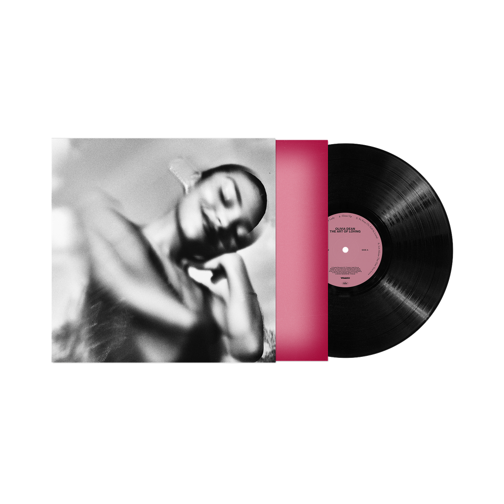 The Art of Loving Vinyl