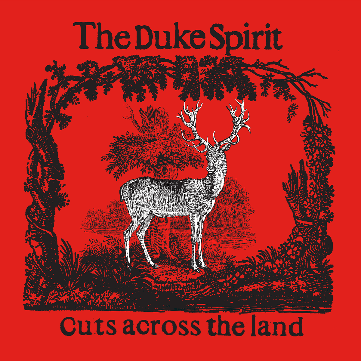 Cuts Across The Land: Exclusive Signed Art Card