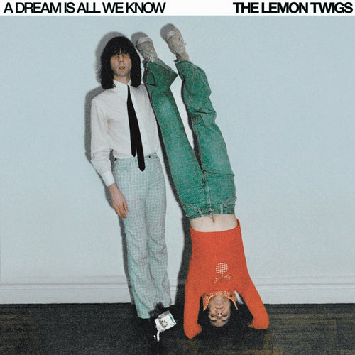A Dream Is All We Know: Limited 'Ice Cream' Vinyl LP