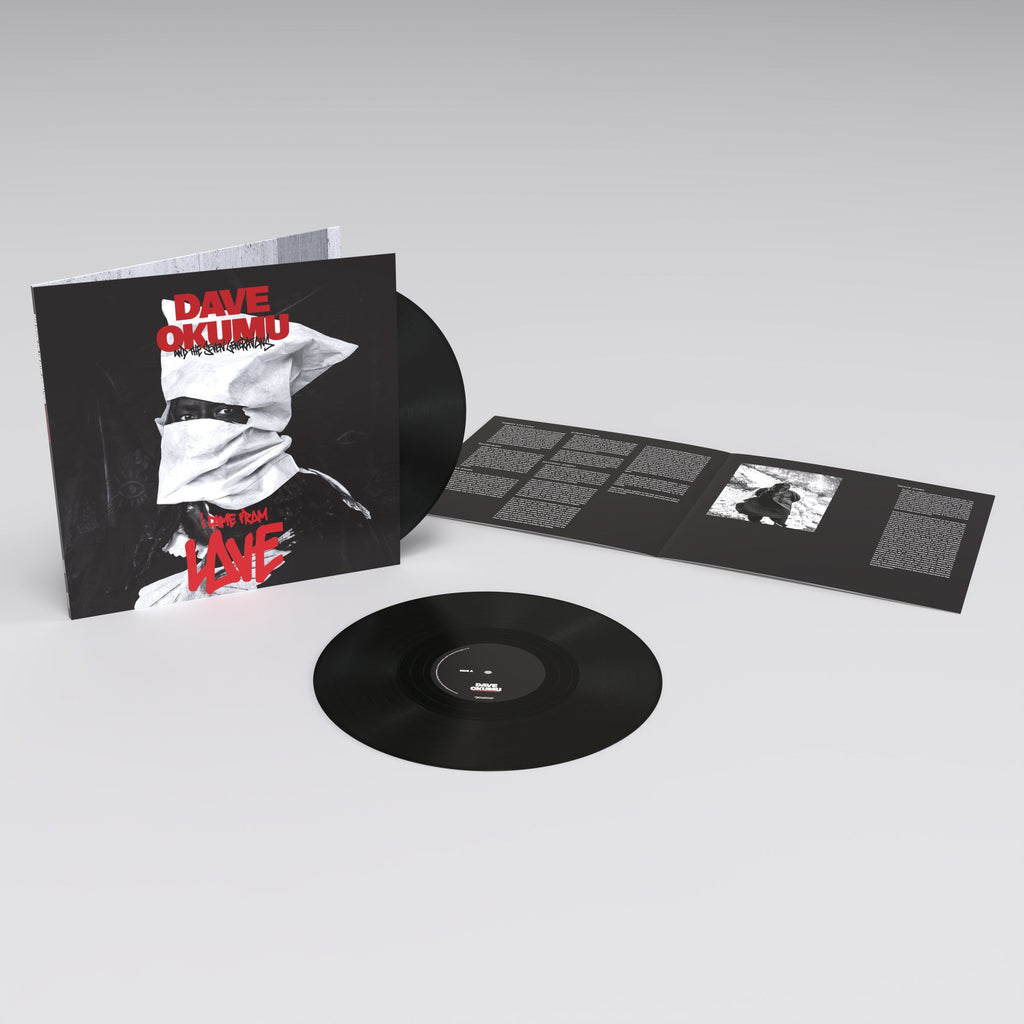I Came From Love: Vinyl LP