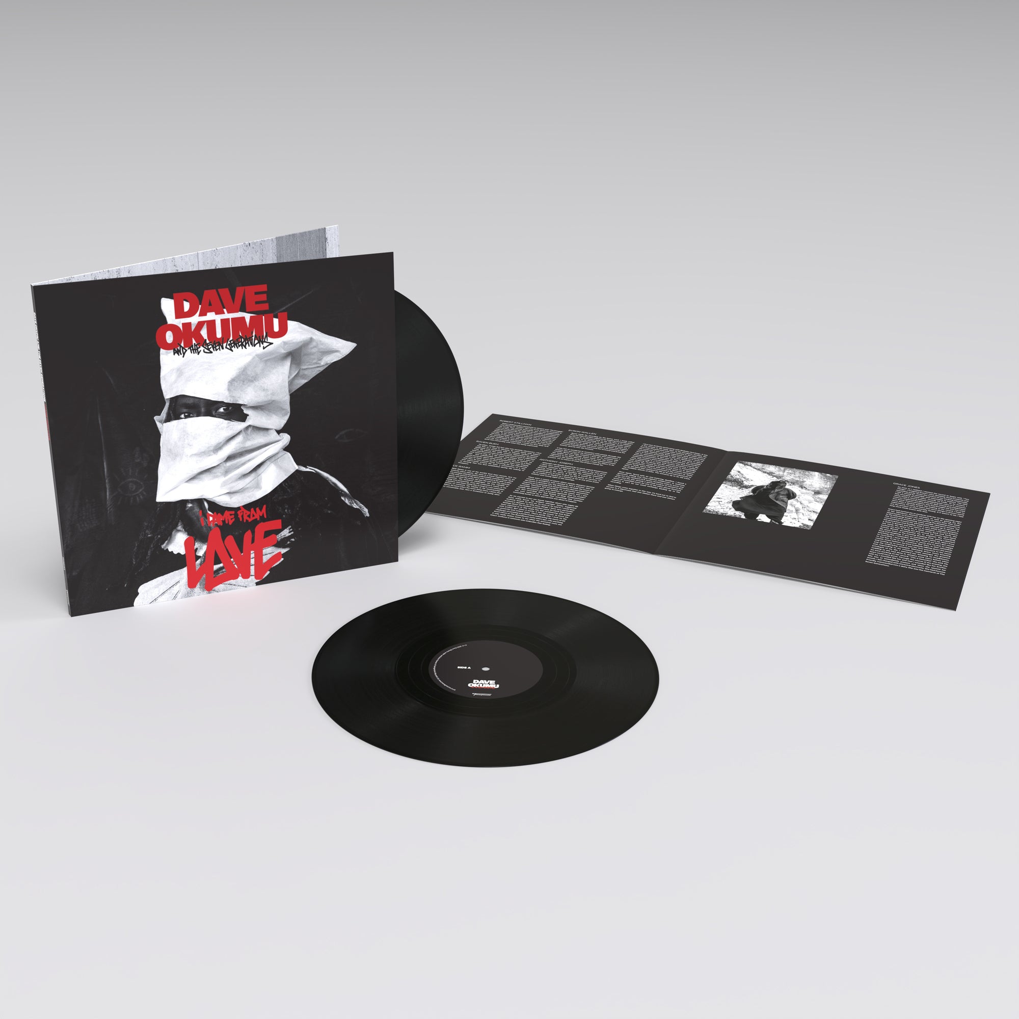 I Came From Love: Vinyl LP