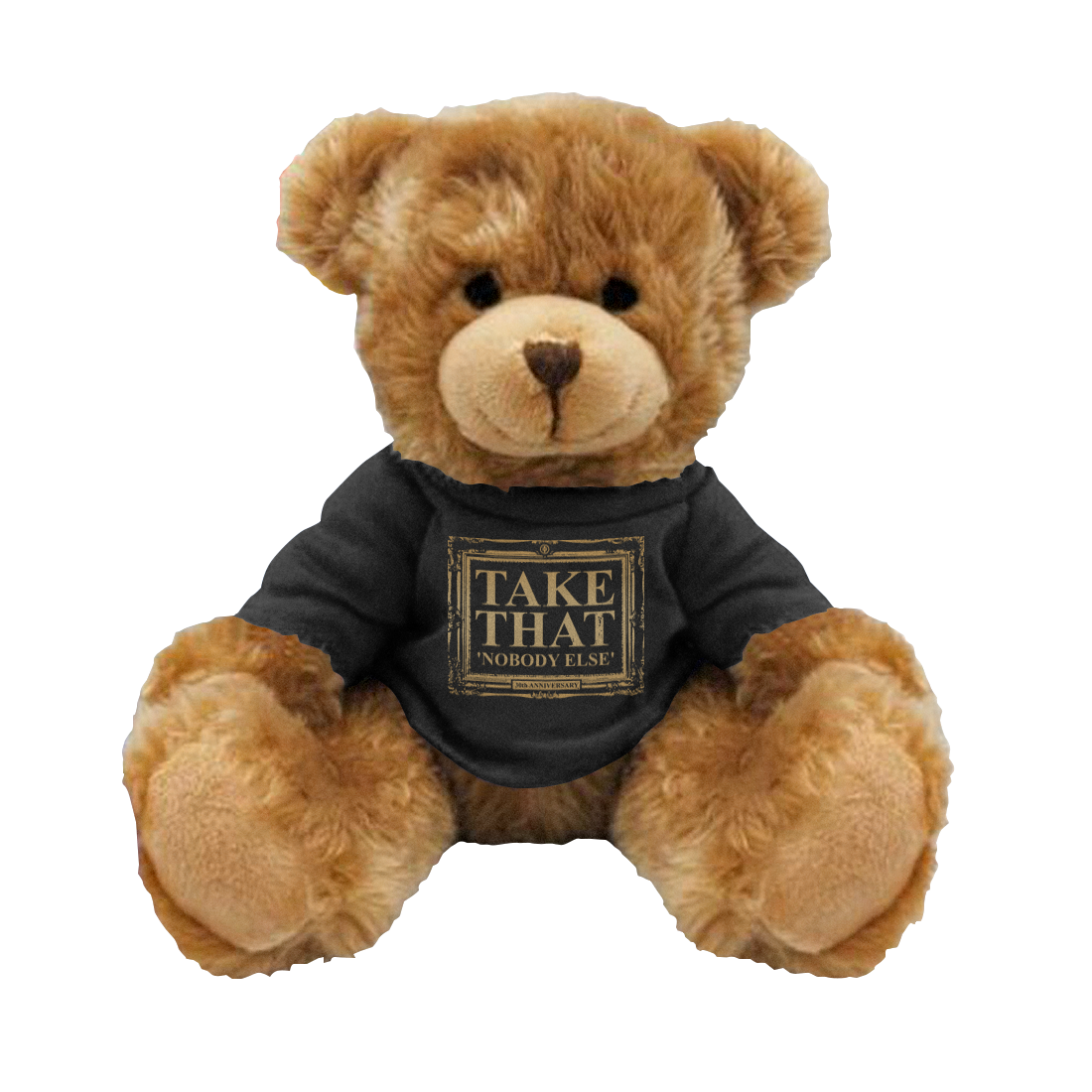 Nobody Else Teddy Bear