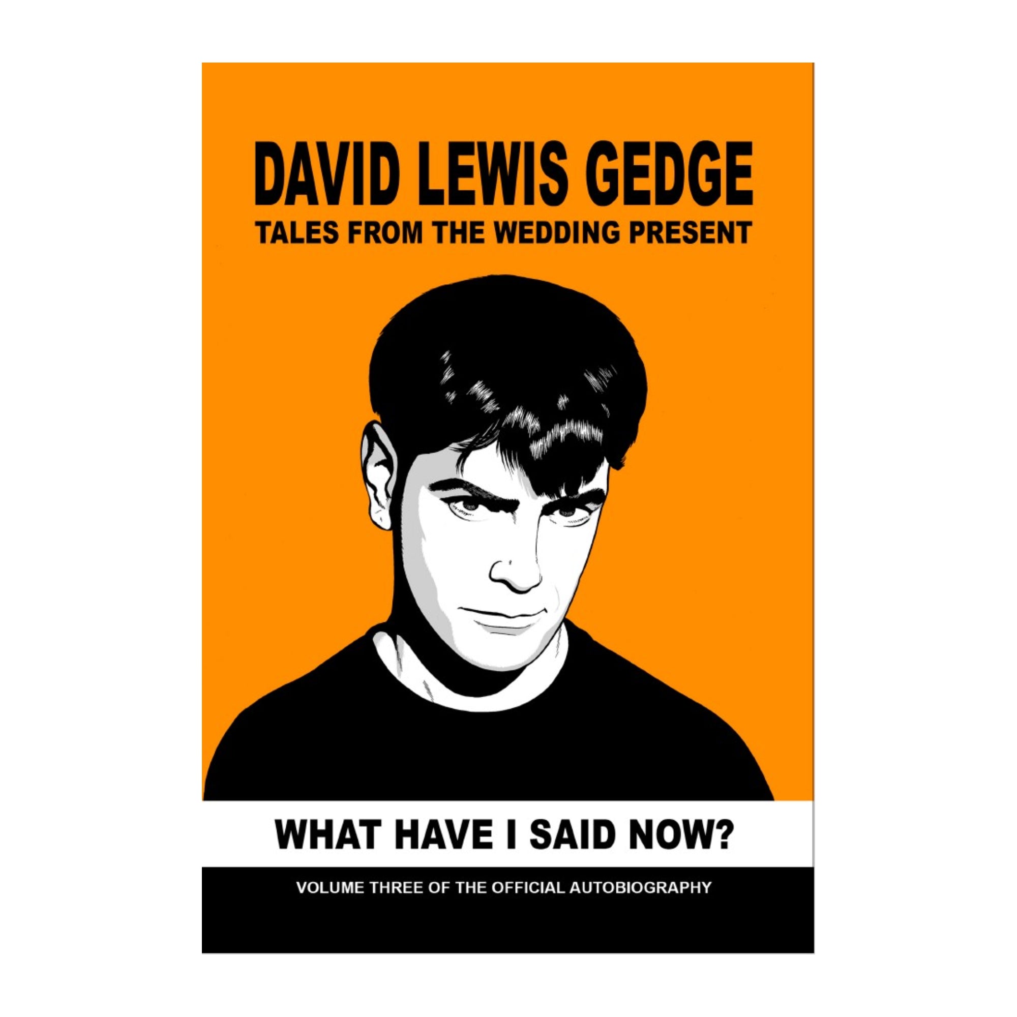 What Have I Said Now? Tales From The Wedding Present Volume 3 Book
