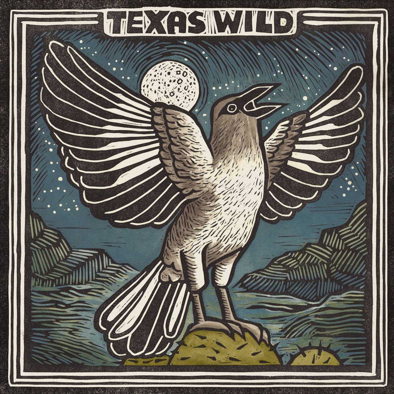 Texas Wild: CD