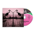 Soft Control: CD