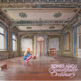 Beautifully Ordinary: CD