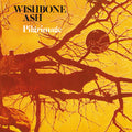 Pilgrimage: Black Vinyl LP