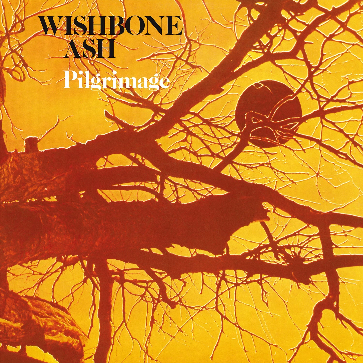 Pilgrimage: Black Vinyl LP