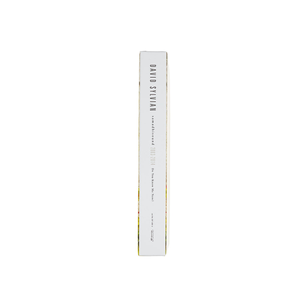 David Sylvian - Do You Know Me Now? (Exclusive 10CD Box Set)
