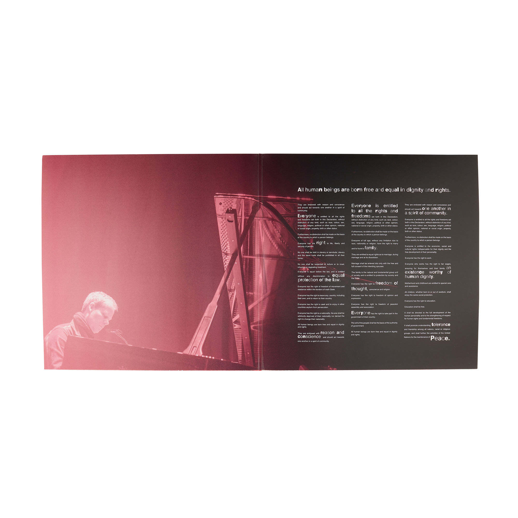 Voices: Vinyl LP