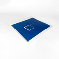 Beaucoup Fish: Vinyl 2LP