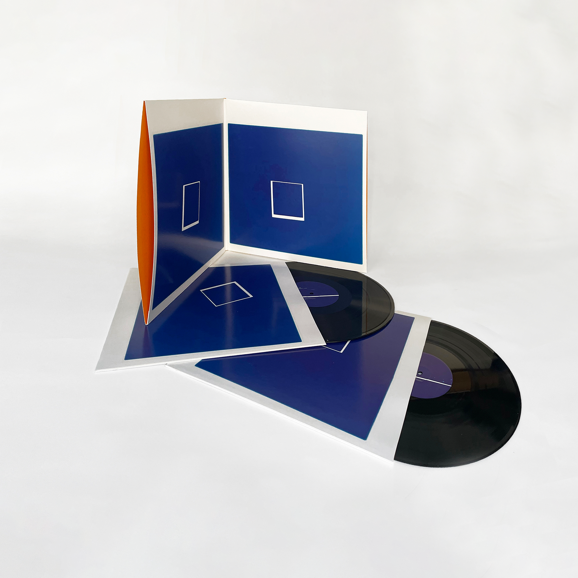 Beaucoup Fish: Vinyl 2LP