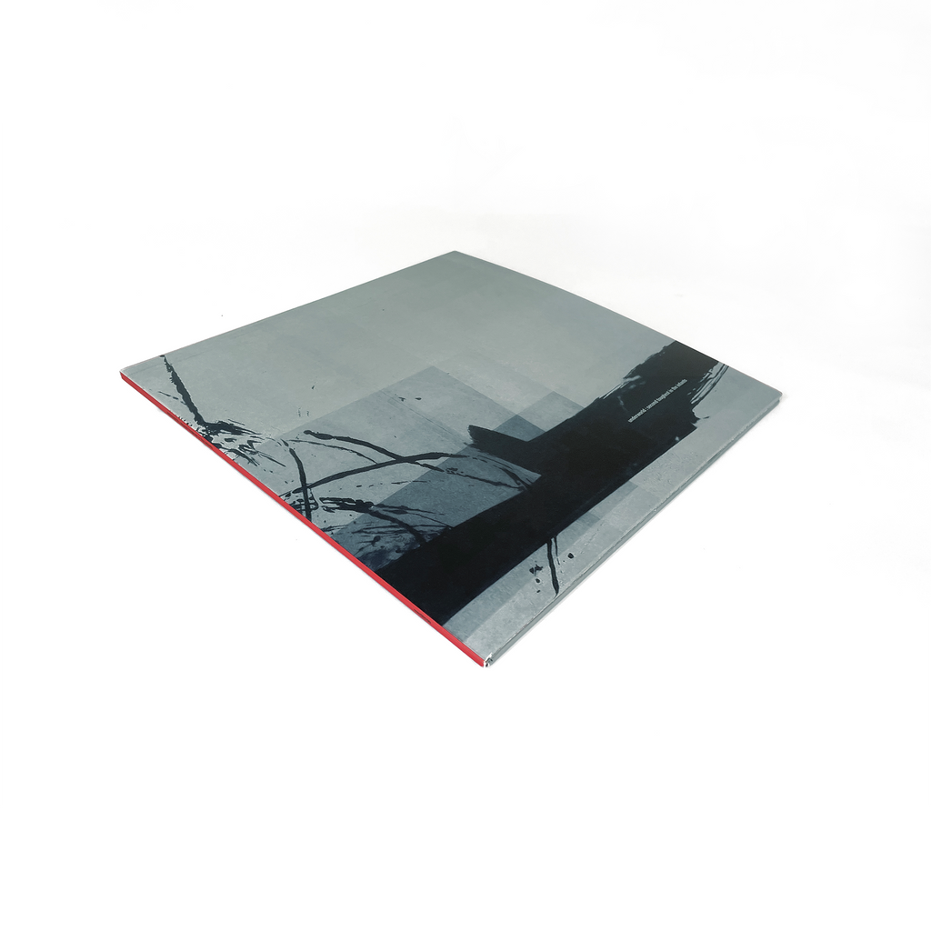 Second Toughest In The Infants: Vinyl 2LP