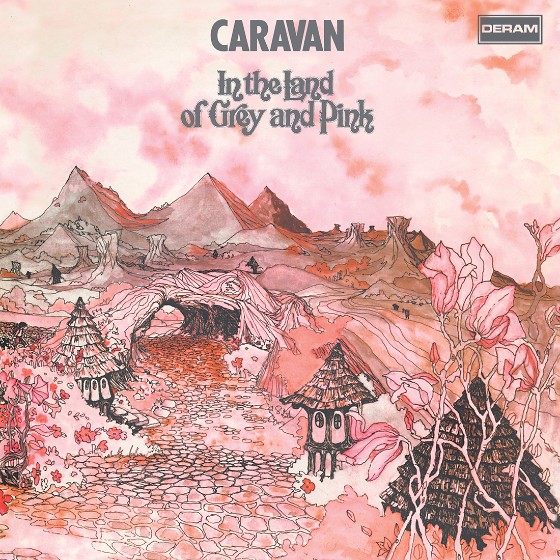 In The Land Of Grey And Pink: CD