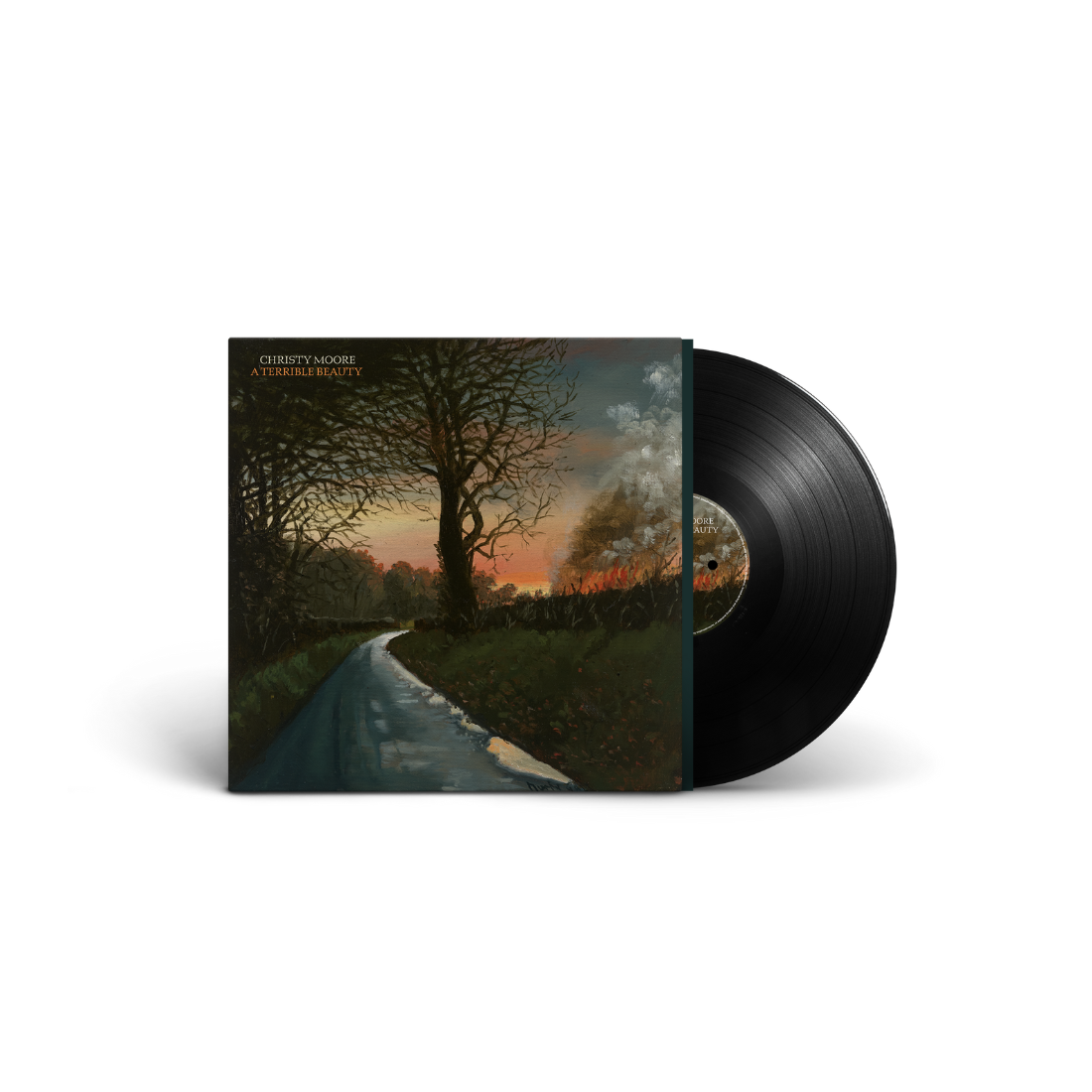 A Terrible Beauty: Vinyl LP