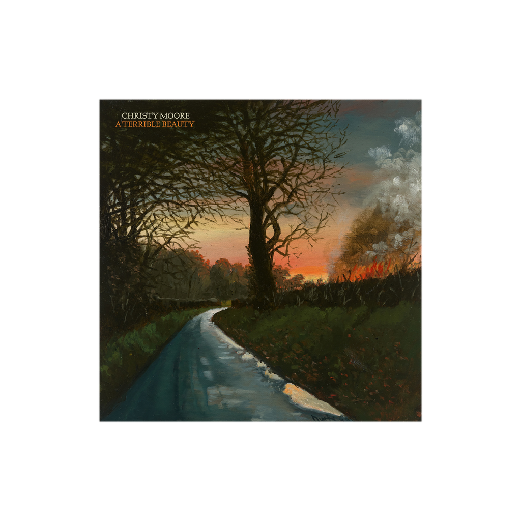 A Terrible Beauty: Vinyl LP