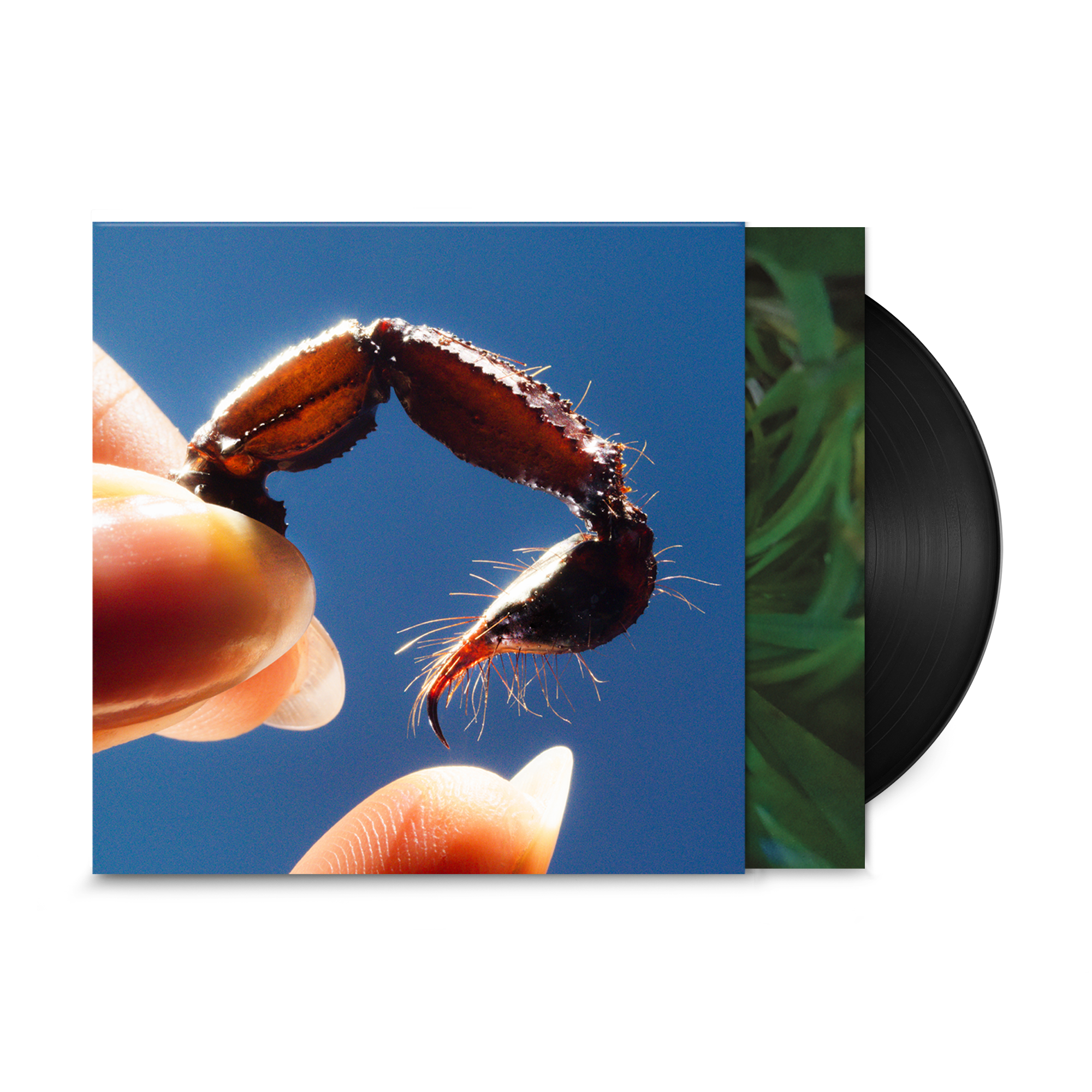 Cowards: Vinyl LP