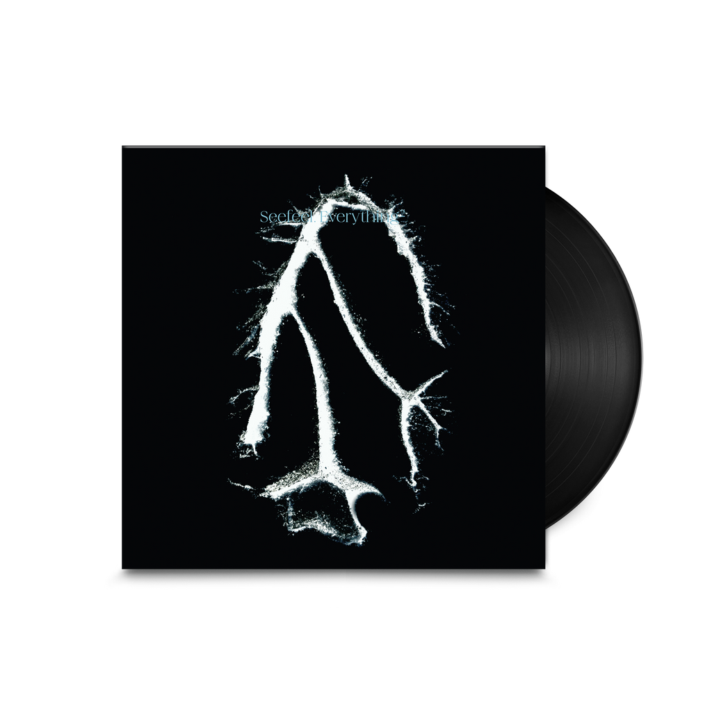 Everything Squared: Vinyl LP