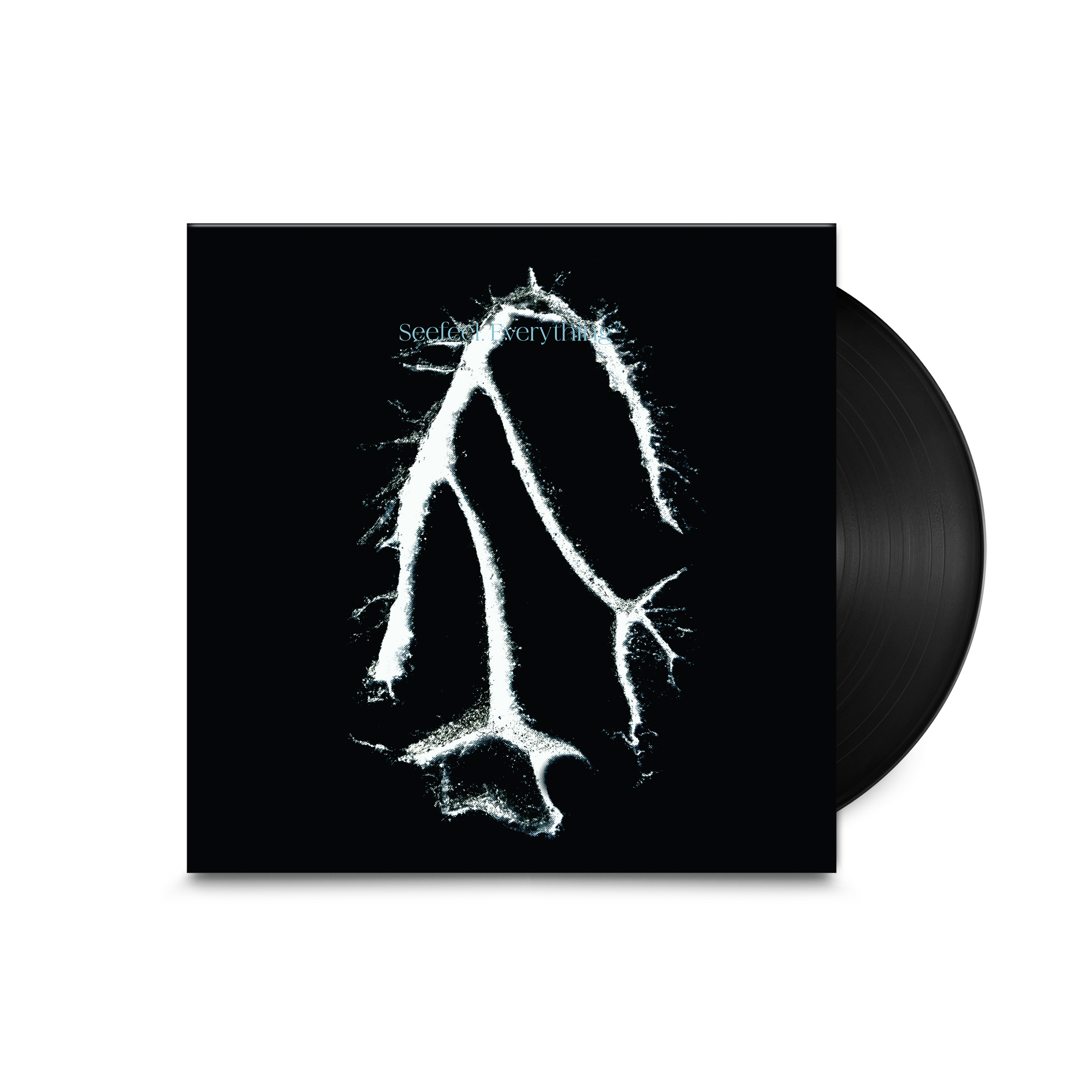 Everything Squared: Vinyl LP