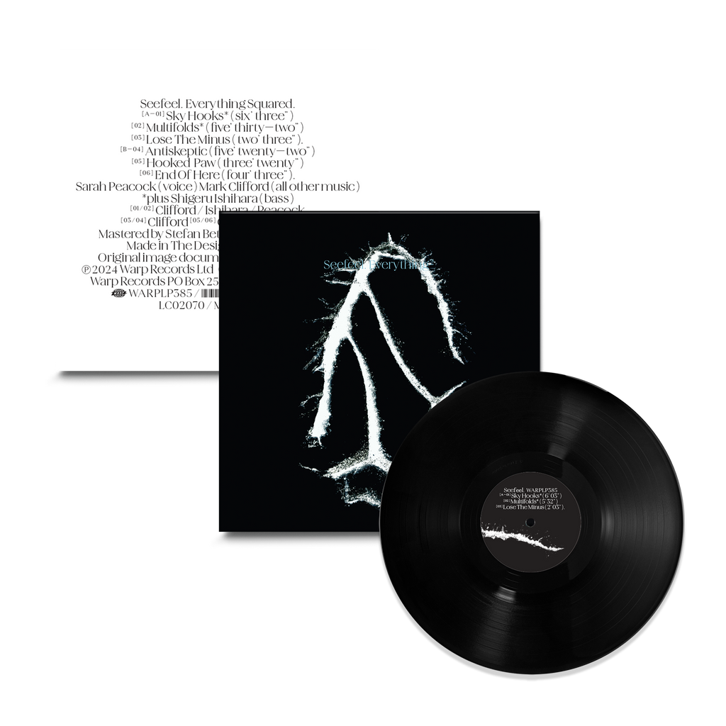 Everything Squared: Vinyl LP