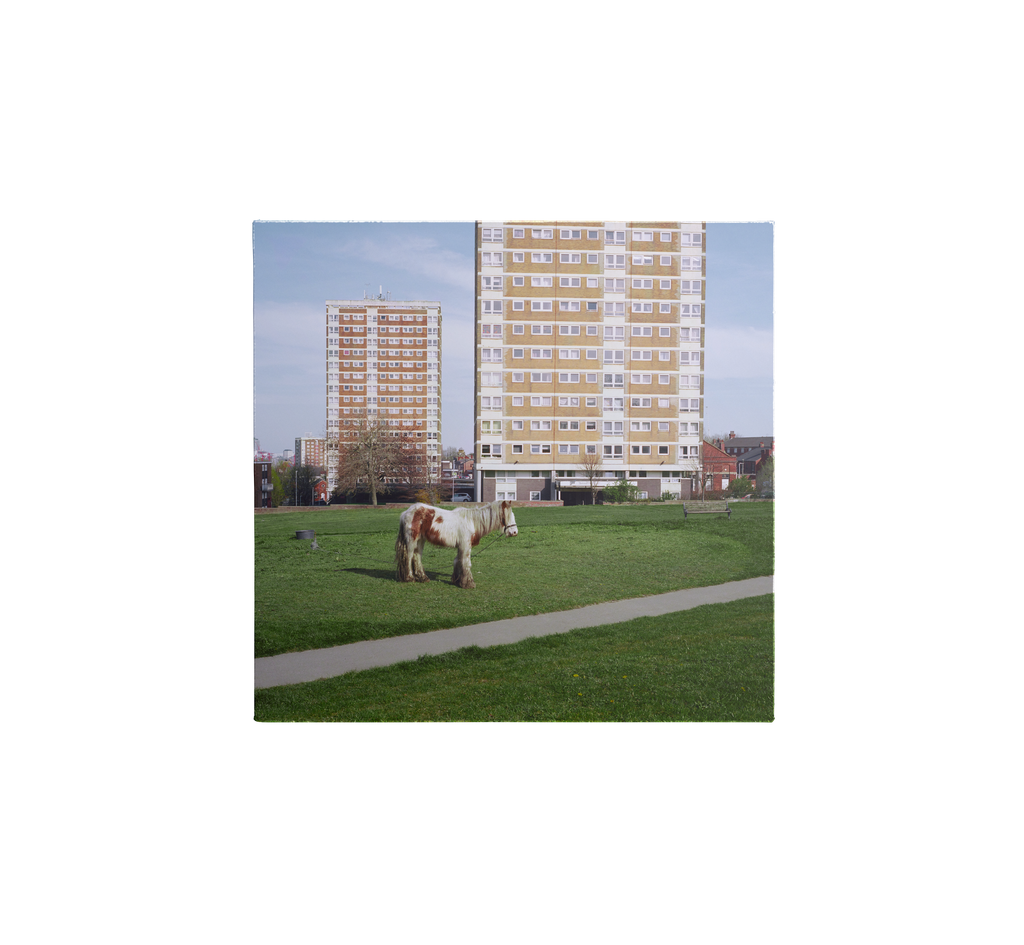 It Goes On - Standard Vinyl